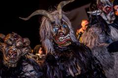 Photo by Sascha Fiala