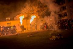 Photo by Sascha Fiala