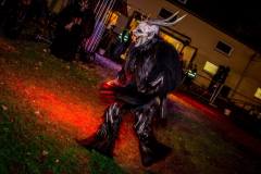 Photo by Sascha Fiala