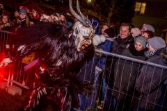 Photo by Sascha Fiala