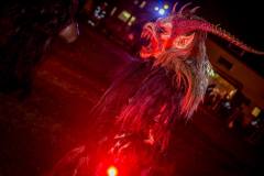 Photo by Sascha Fiala