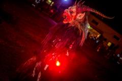 Photo by Sascha Fiala