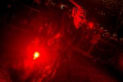 Photo by Sascha Fiala