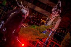 Photo by Sascha Fiala