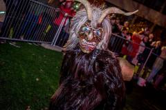 Photo by Sascha Fiala