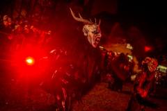 Photo by Sascha Fiala