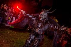 Photo by Sascha Fiala