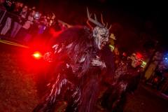 Photo by Sascha Fiala