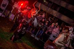 Photo by Sascha Fiala