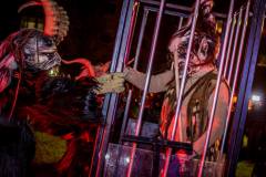 Photo by Sascha Fiala