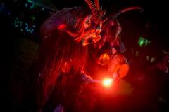 Photo by Sascha Fiala