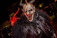 Photo by Sascha Fiala