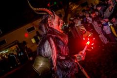 Photo by Sascha Fiala