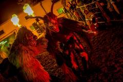 Photo by Sascha Fiala