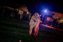 Photo by Sascha Fiala