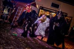 Photo by Sascha Fiala