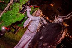 Photo by Sascha Fiala