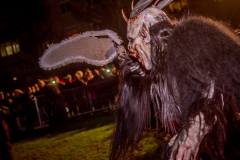 Photo by Sascha Fiala