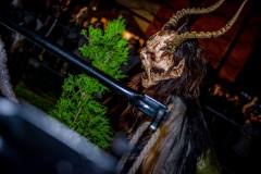 Photo by Sascha Fiala