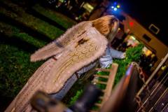 Photo by Sascha Fiala