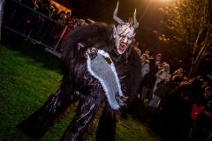 Photo by Sascha Fiala