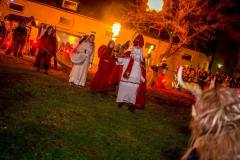 Photo by Sascha Fiala