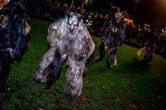 Photo by Sascha Fiala