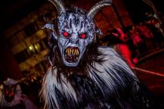 Photo by Sascha Fiala