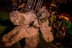 Photo by Sascha Fiala