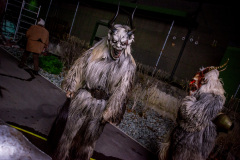 Photo by Sascha Fiala