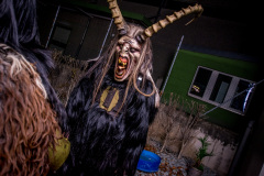 Photo by Sascha Fiala