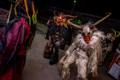 Photo by Sascha Fiala