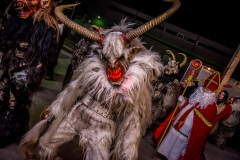 Photo by Sascha Fiala