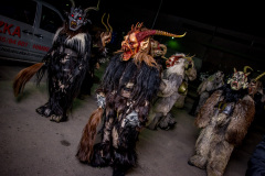 Photo by Sascha Fiala