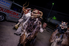 Photo by Sascha Fiala