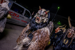 Photo by Sascha Fiala