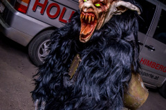 Photo by Sascha Fiala