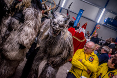 Photo by Sascha Fiala