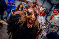 Photo by Sascha Fiala