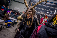 Photo by Sascha Fiala