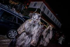 Photo by Sascha Fiala