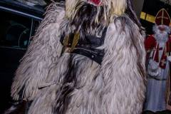 Photo by Sascha Fiala