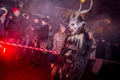 Photo by Sascha Fiala