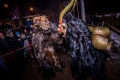 Photo by Sascha Fiala