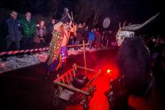 Photo by Sascha Fiala