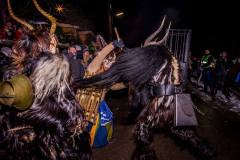 Photo by Sascha Fiala