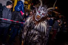 Photo by Sascha Fiala