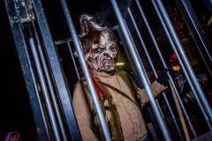 Photo by Sascha Fiala