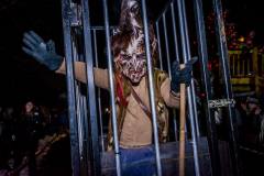 Photo by Sascha Fiala