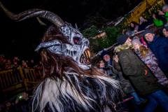 Photo by Sascha Fiala